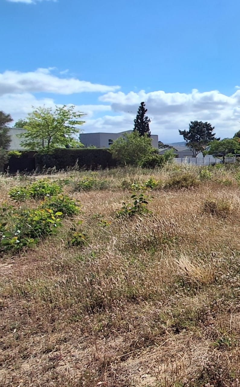 0 Bedroom Property for Sale in Bot River Avenues Western Cape